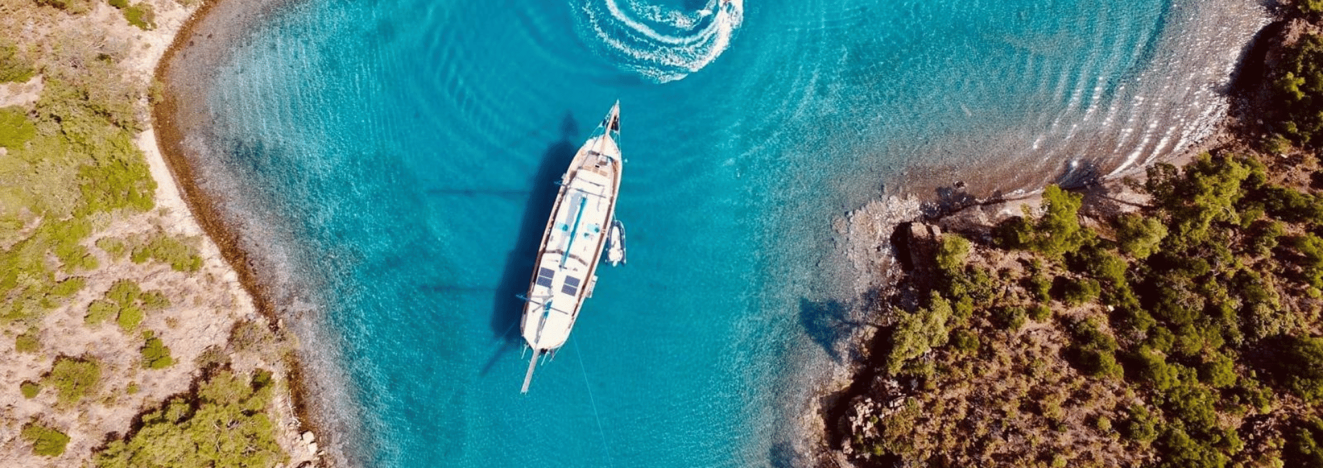 Home page banner blue cruise