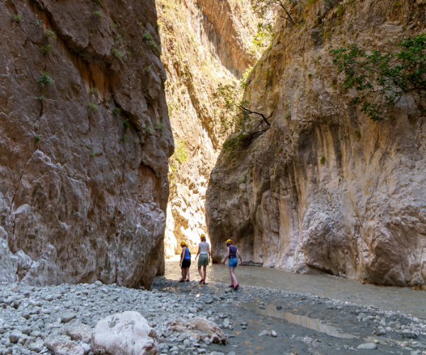 website banner x Kas canyon